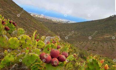 Ifonche, a circular hike