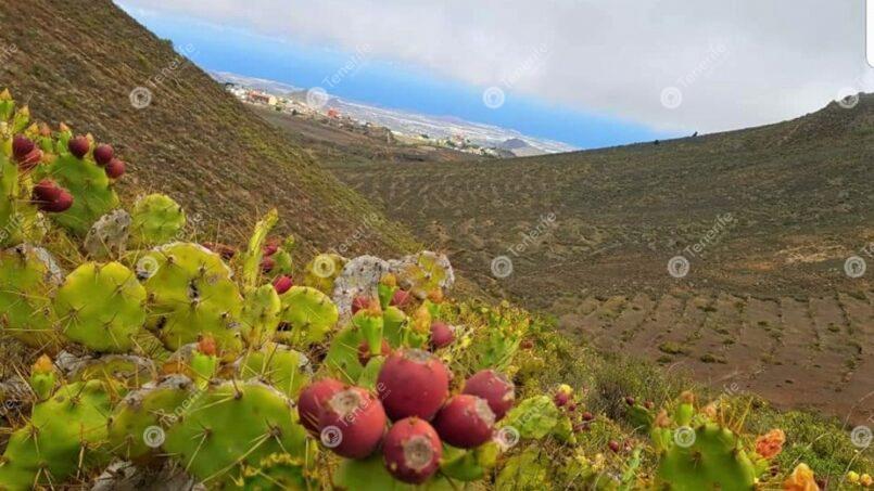 Ifonche, a circular hike