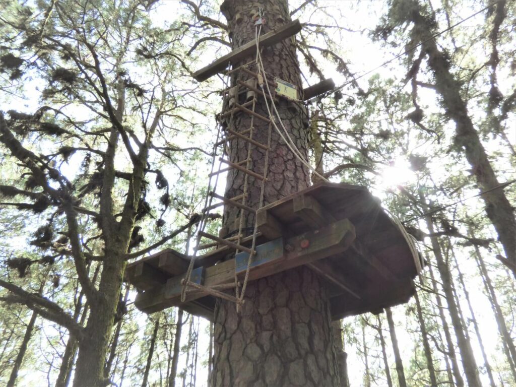 Forestal Park Tenerife