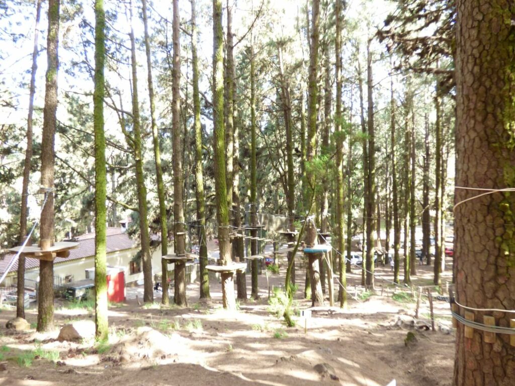 Forestal Park Tenerife