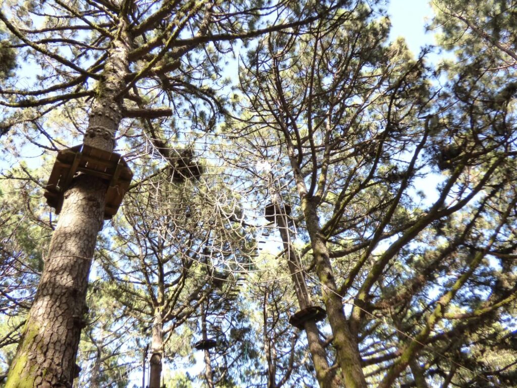 Tarzan Swing,Forestal Park,Tenerife