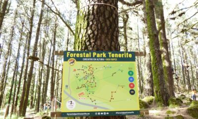 Challenge your limits at Forestal Park Tenerife