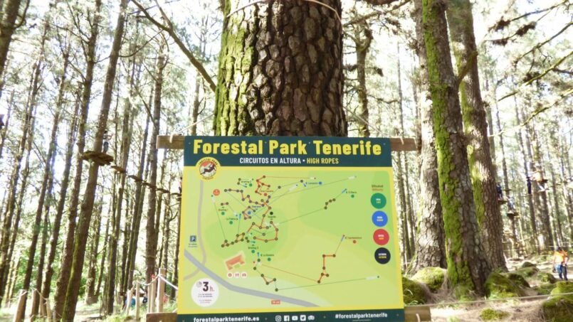 Challenge your limits at Forestal Park Tenerife